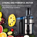 5-in-1 Juicer & Blender – Multi-Function Kitchen Mixer & Grinder