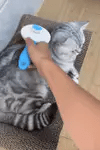 Self-Cleaning Pet Grooming Brush – Cat &amp; Dog Hair Remover Comb