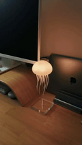 Aurora Jellyfish Lamp – LED Ambient Mood Light